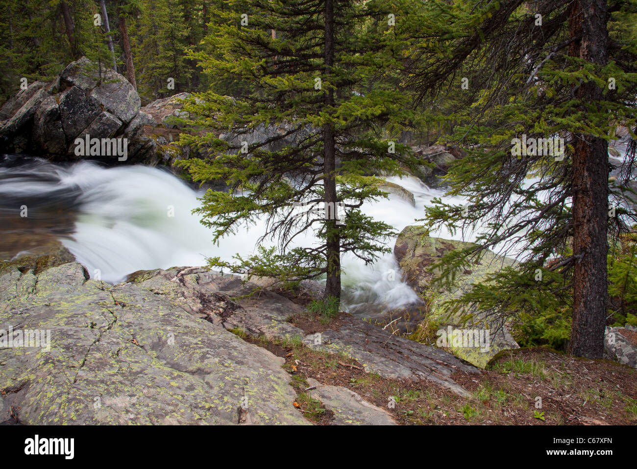 Middle Tensleep Creek, Bighorn National Forest, Wyoming Stock Photo