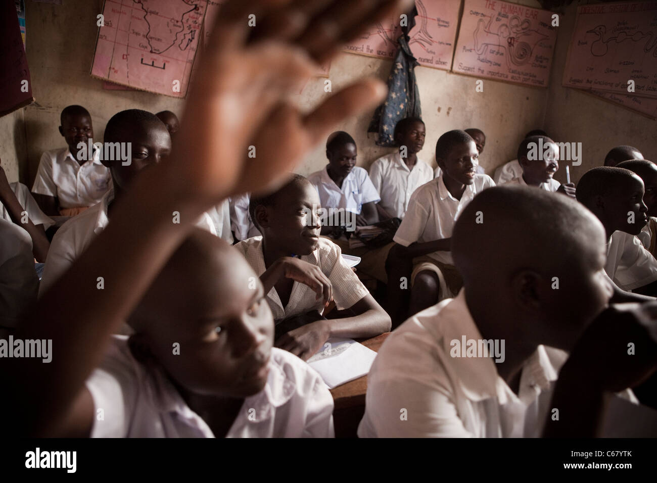 Students learn in a crowded classroom at a primary school in Amuria, Uganda, East Africa. Stock Photo