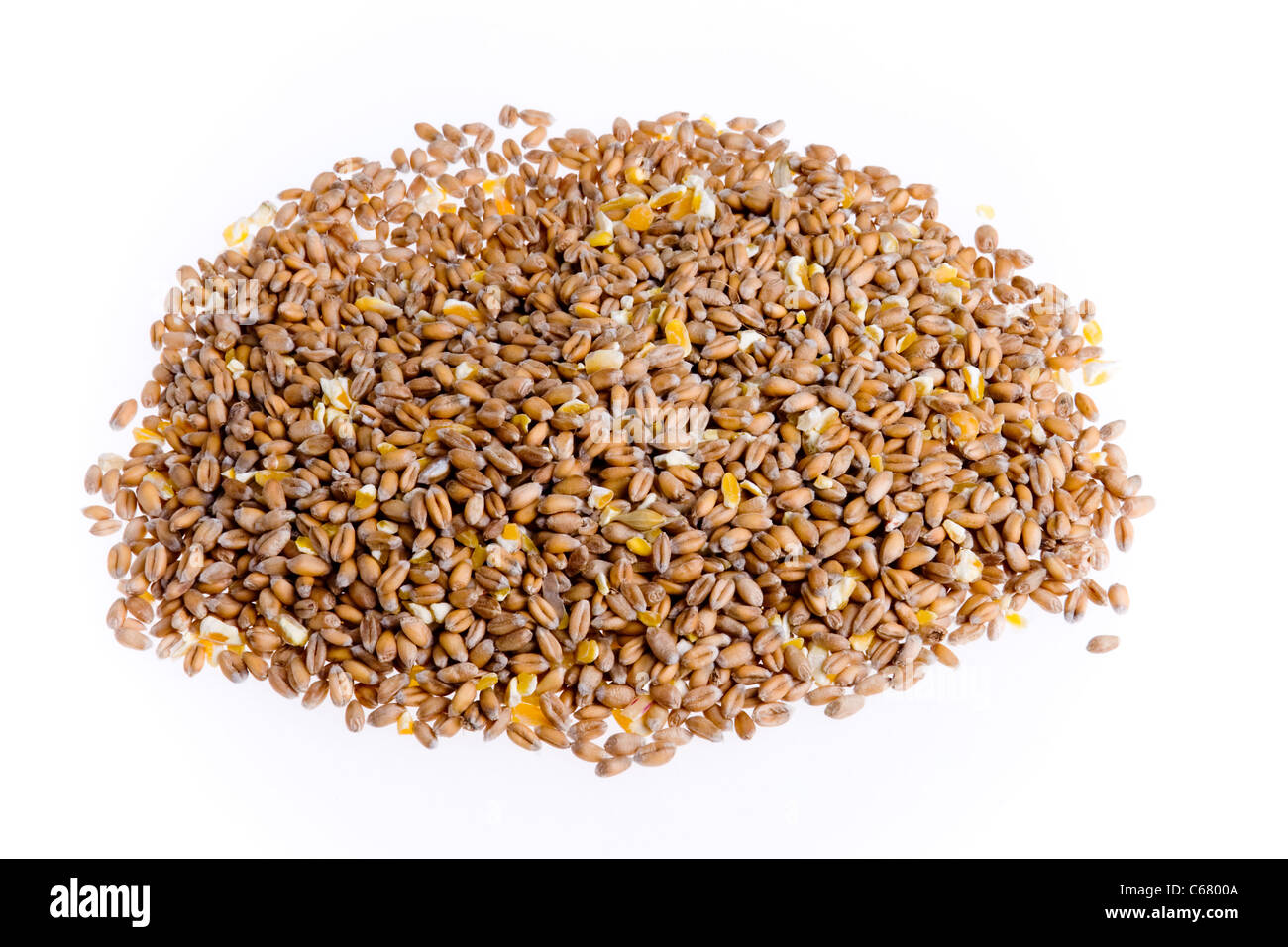 Corn seeds of kernels Stock Photo Alamy