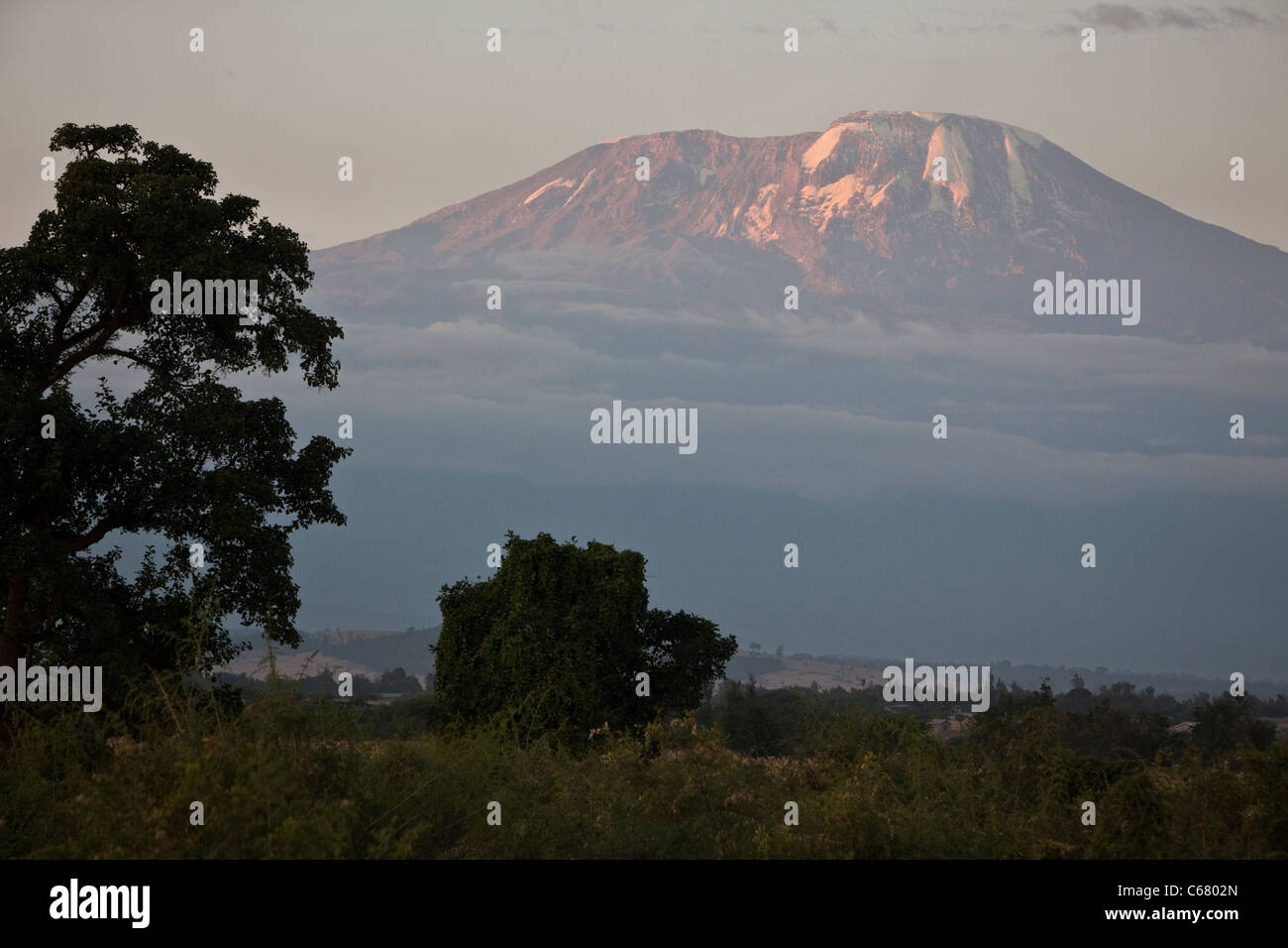 Mt. Kilimanjaro at sunset - Boma Ng'ombe, Kilimanjaro Region, Tanzania Stock Photo