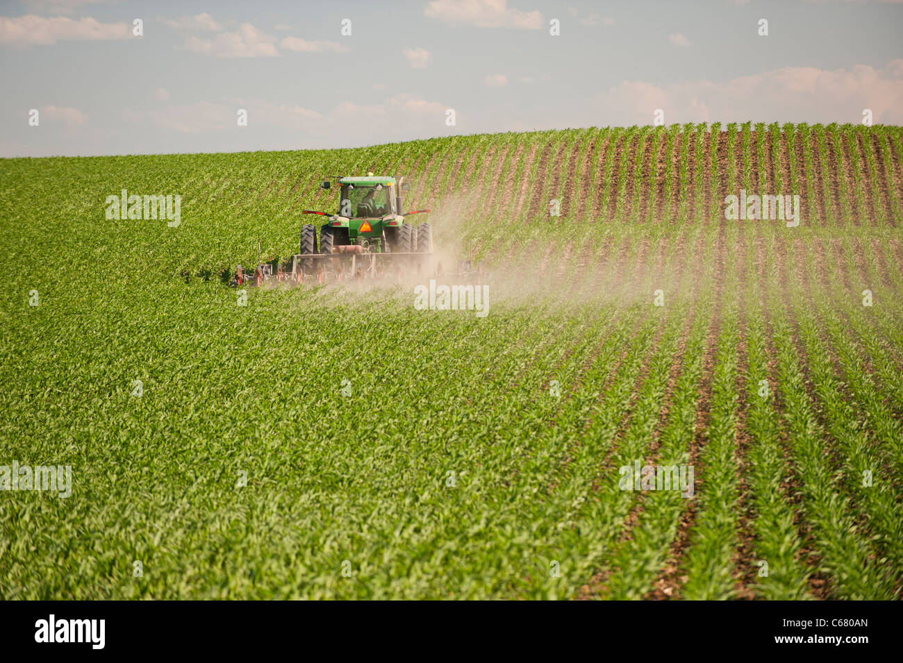 A farmer drives a tractor through his corn field in Idaho in Summer Stock Photo