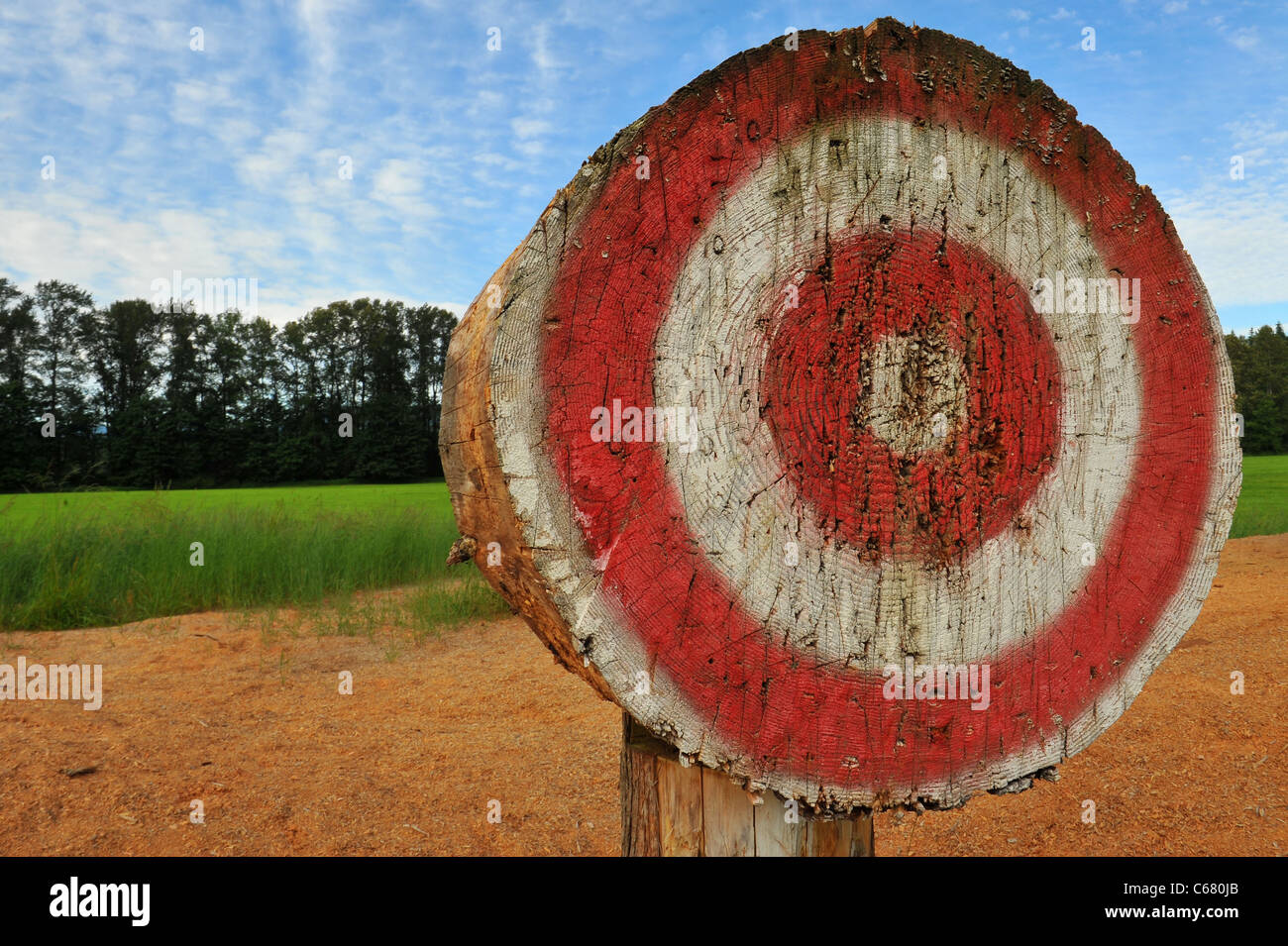 Red and white painted, wooden archery target on a summer day at River Meadows County Park near Arlington, Washington. Stock Photo