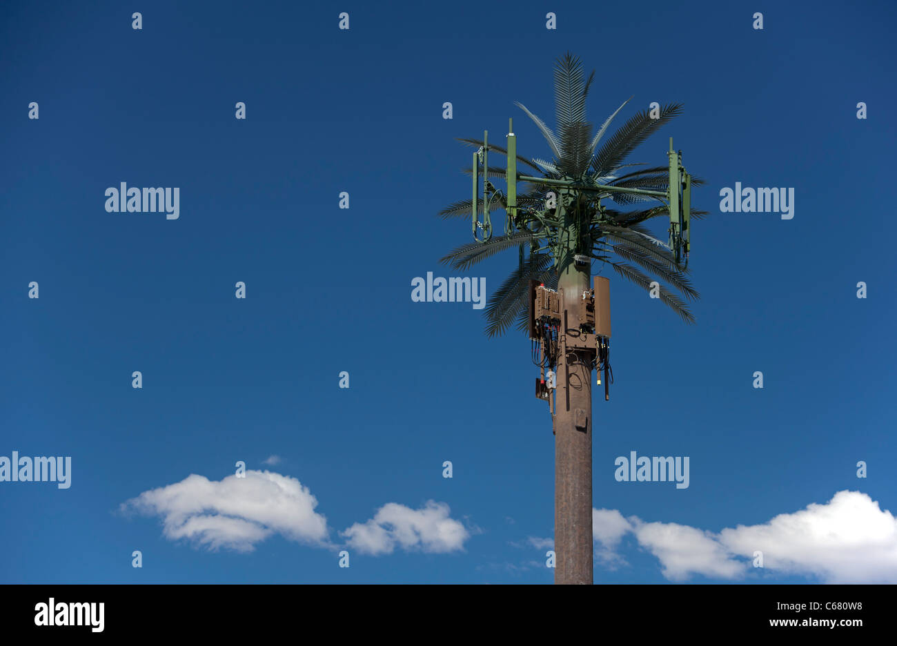 Las Vegas, Nevada - A cell phone tower disguised as a palm tree. Stock Photo