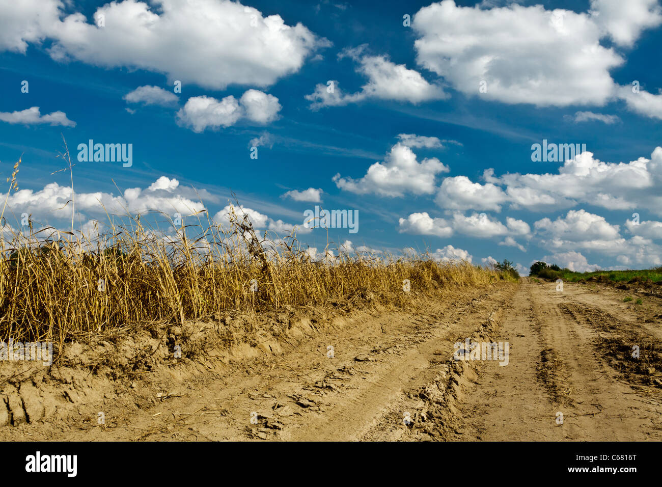 Blue sky and road in the field Stock Photo - Alamy