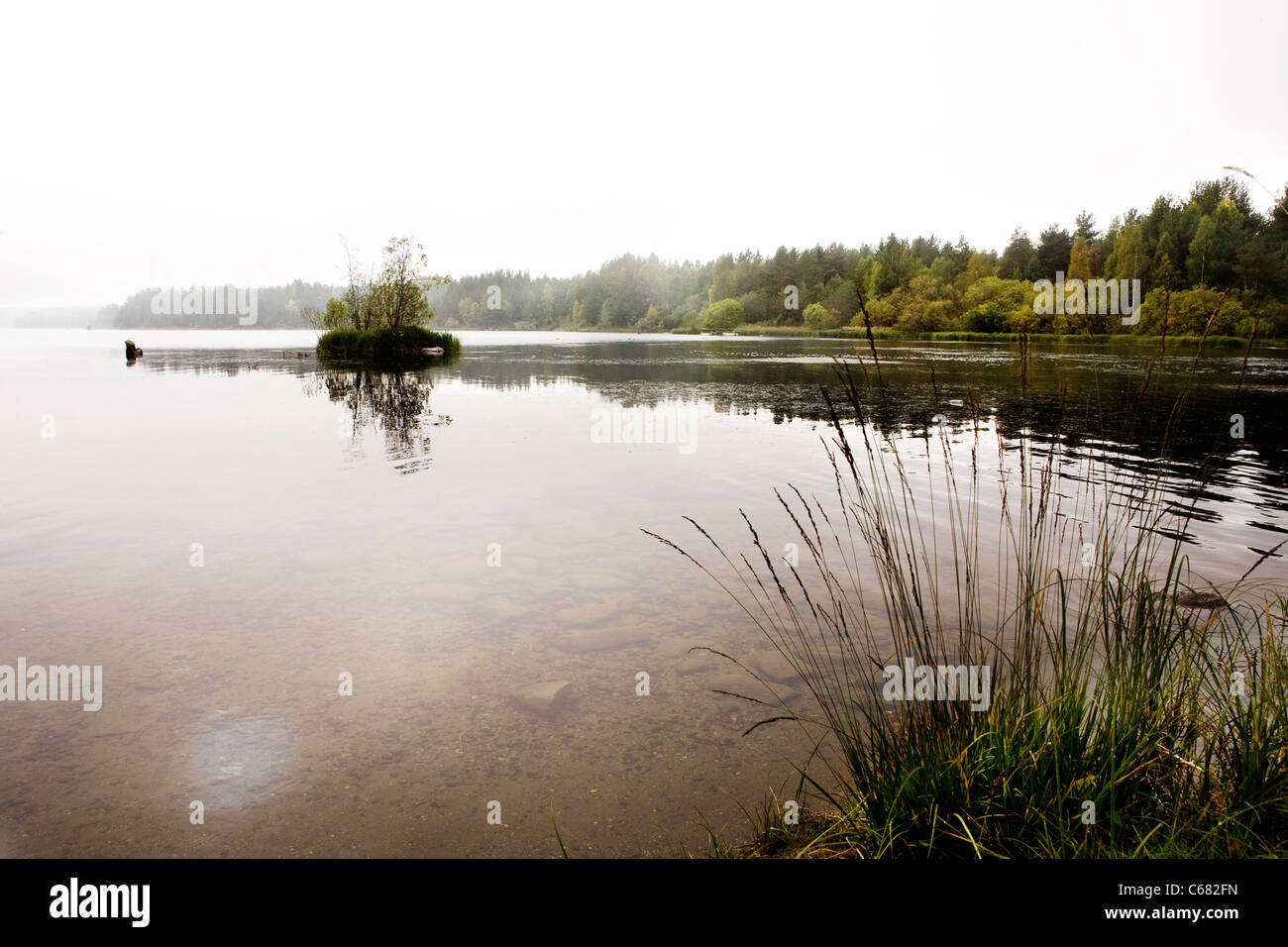 Quiet nature calm environment hi-res stock photography and images - Alamy