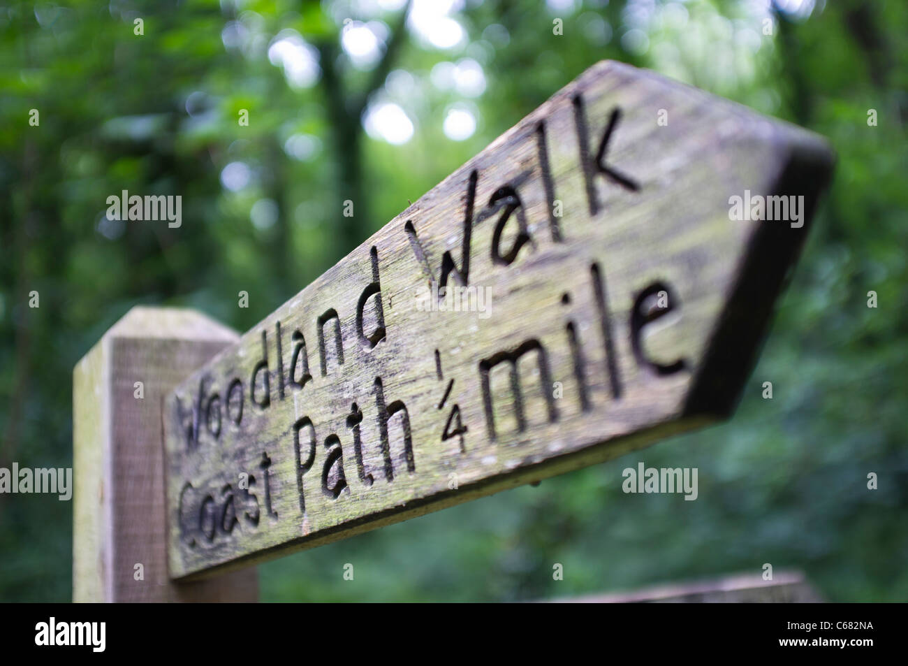 Woodland Walk costal path sign Stock Photo