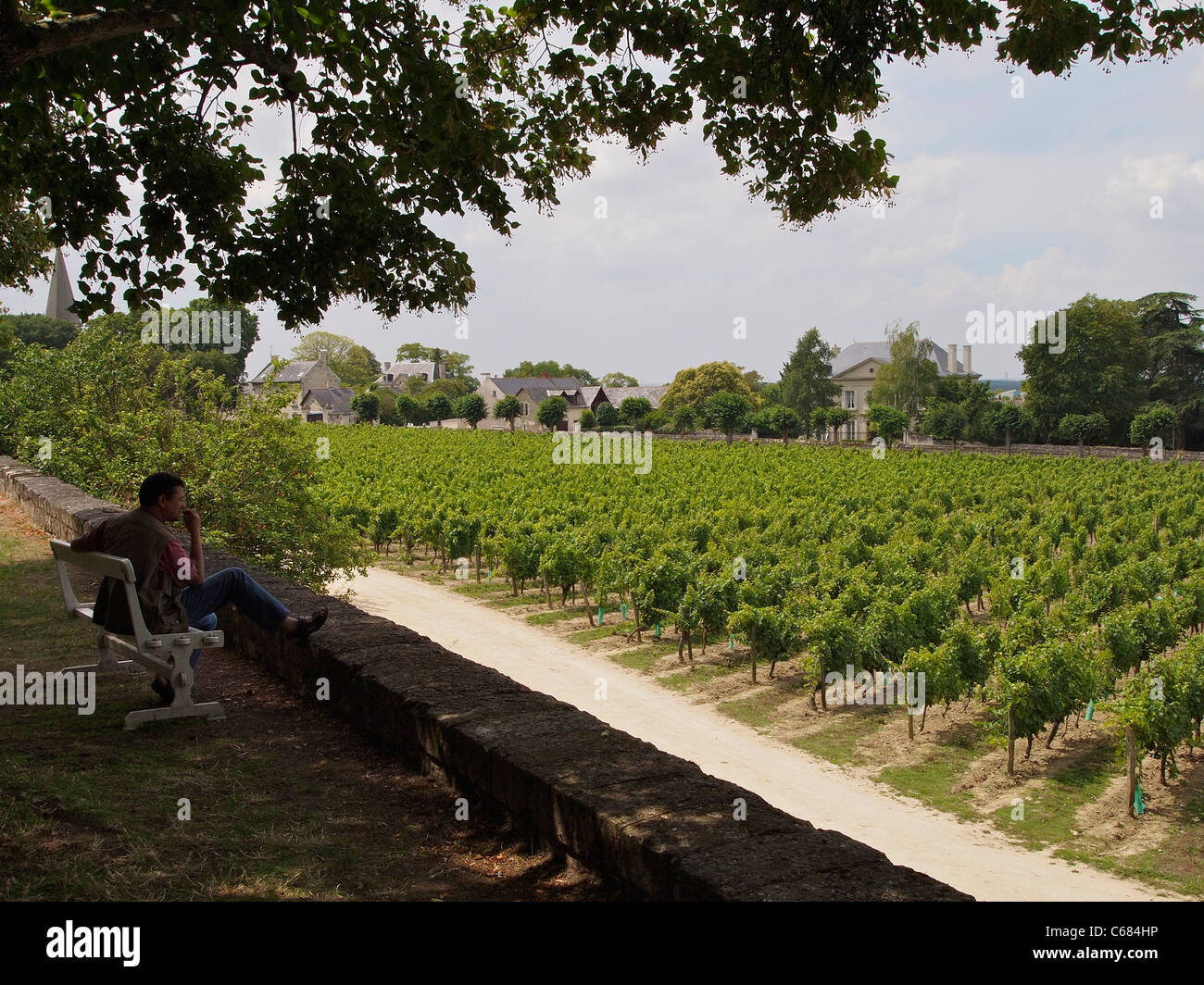 Man sitting in the shade overlooking a vineyard in the sun, near Saumur, Anjou, Loire valley, France Stock Photo