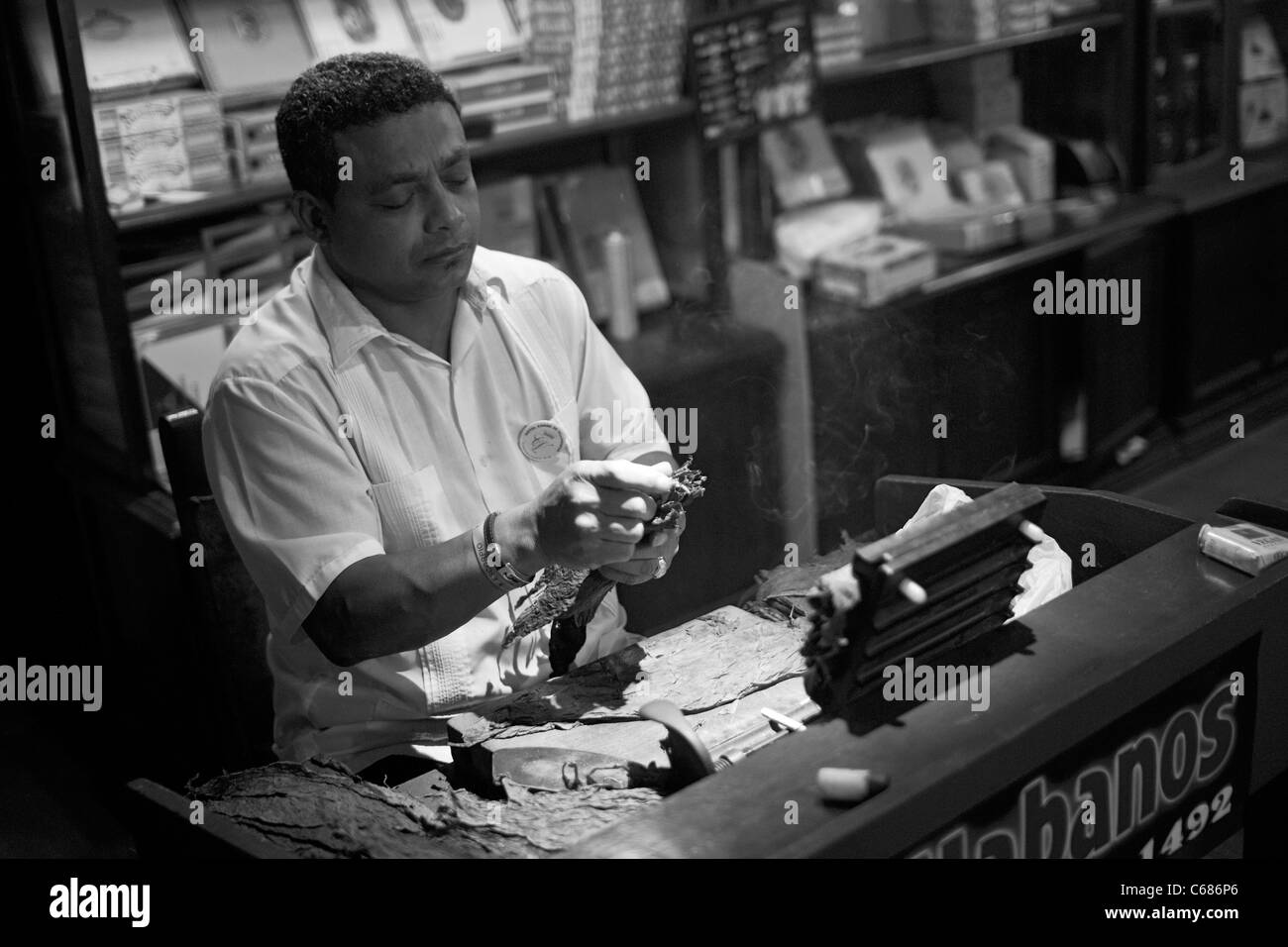 Cigar Maker in The La Habana Vieja Stock Photo