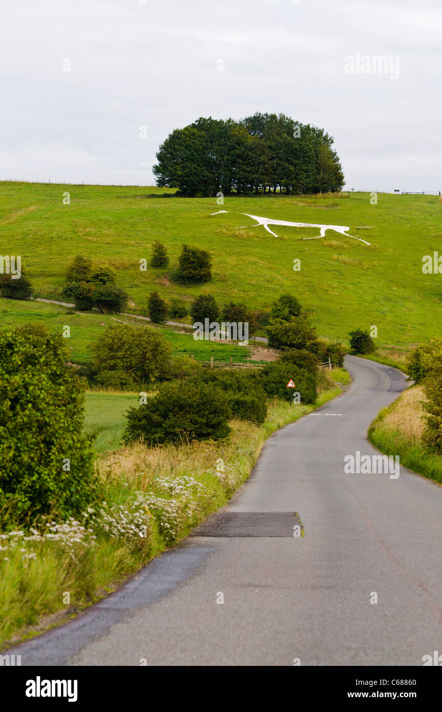 White Horse on the side of a hill at Devizes Stock Photo