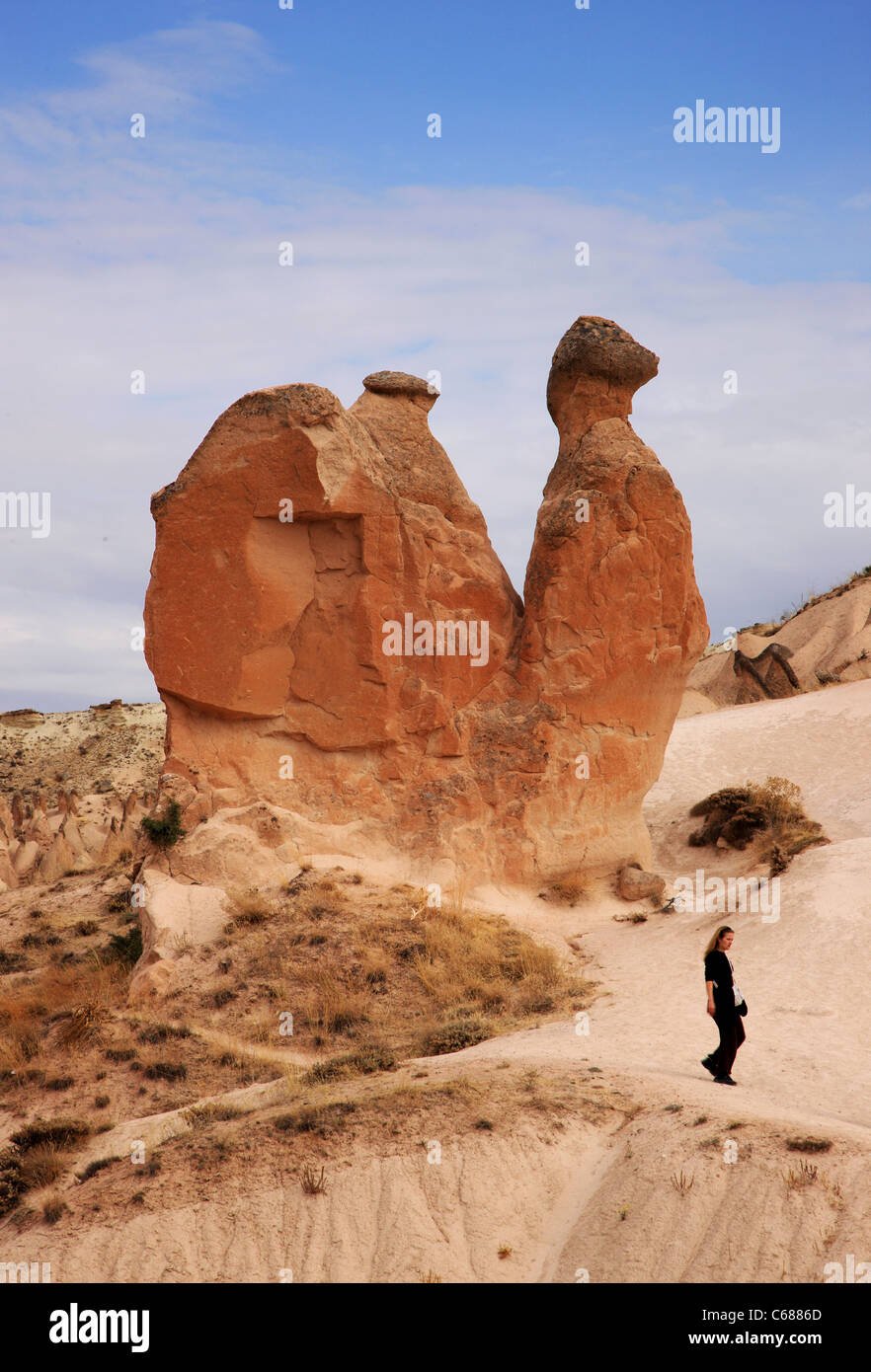 Camel cappadocia in nevsehir hi res stock photography and images Alamy