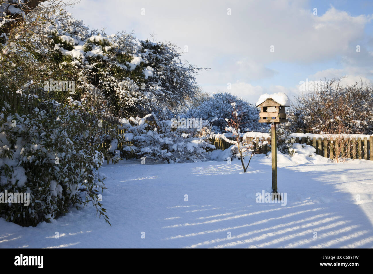 View of a household back garden covered in snow in winter. UK Stock Photo