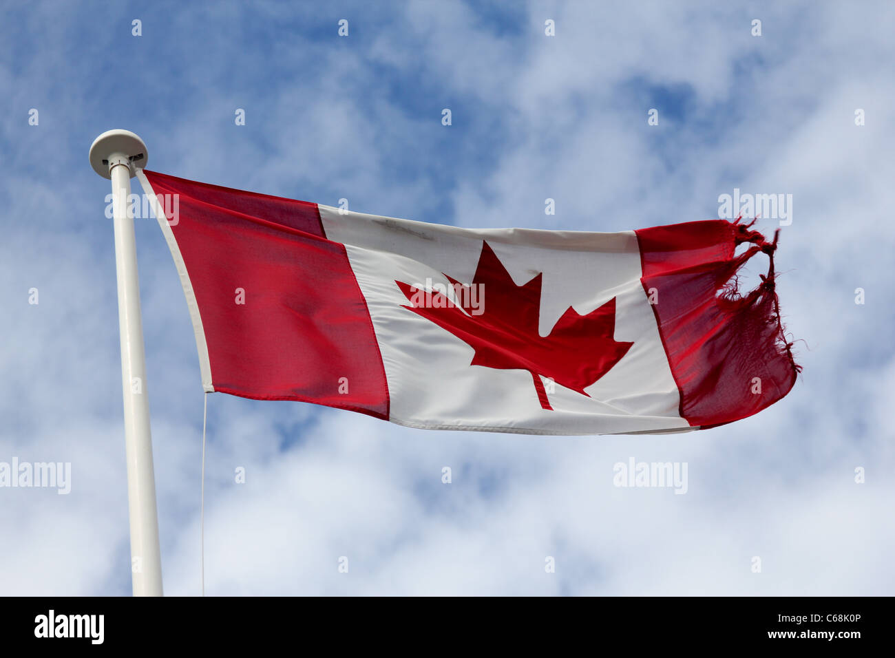 Drapeau canadien hi-res stock photography and images - Alamy