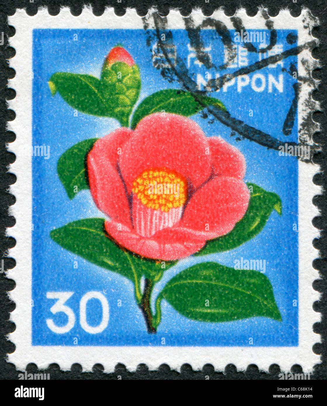 JAPAN 1980 A stamp printed in Japan, depicts a flower Japanese Camellia (Camellia japonica