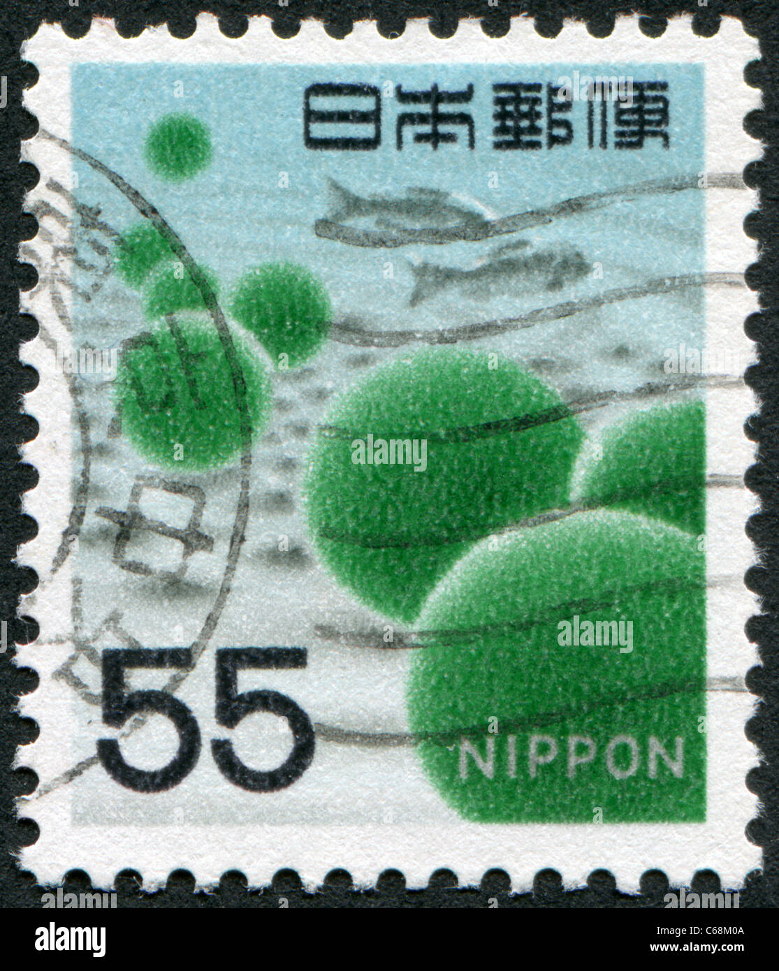 JAPAN - 1969: A stamp printed in Japan, depicts the alga Cladophora Sauteri Stock Photo