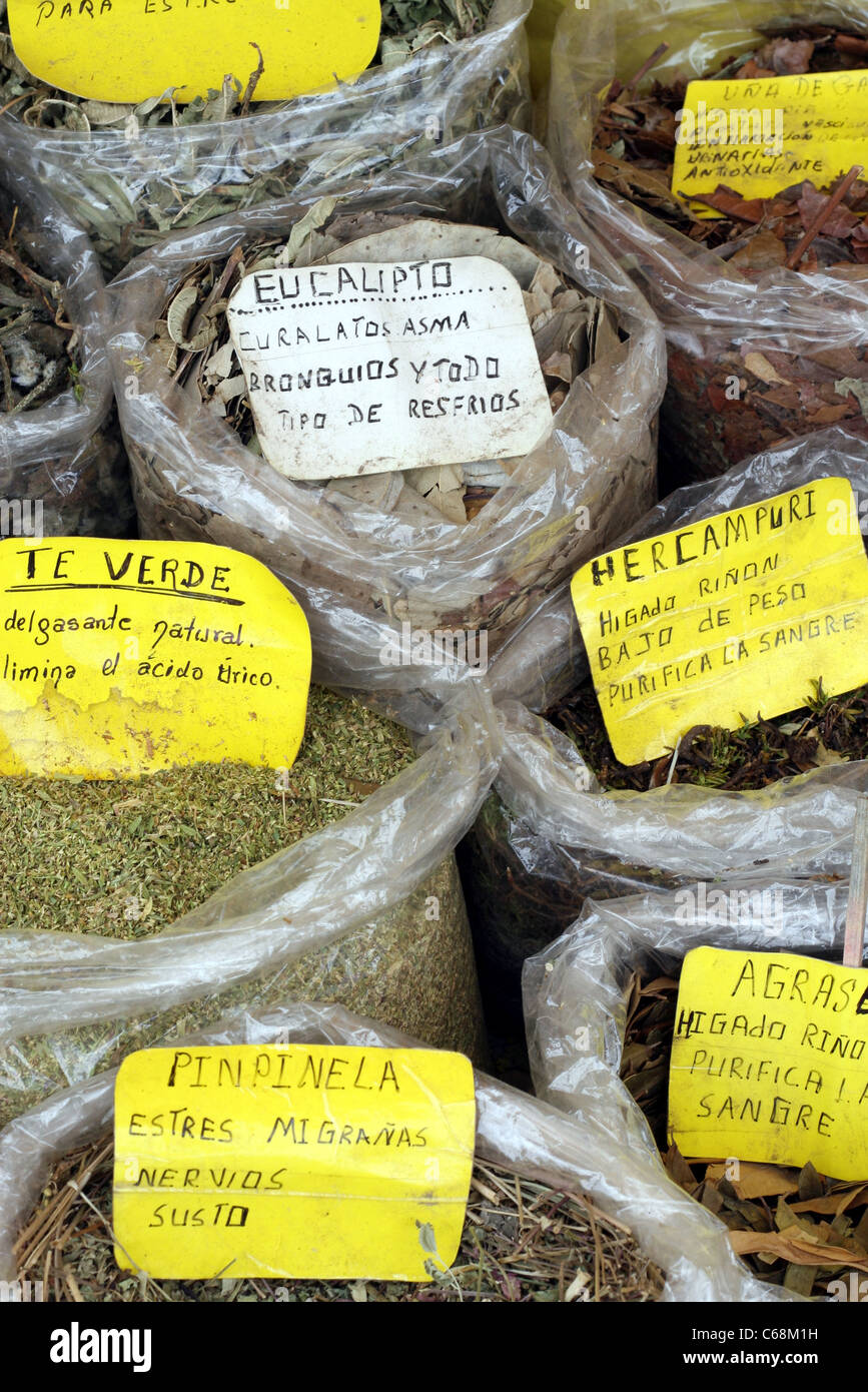 Natural herbs and plants in a market stall near the central city Stock