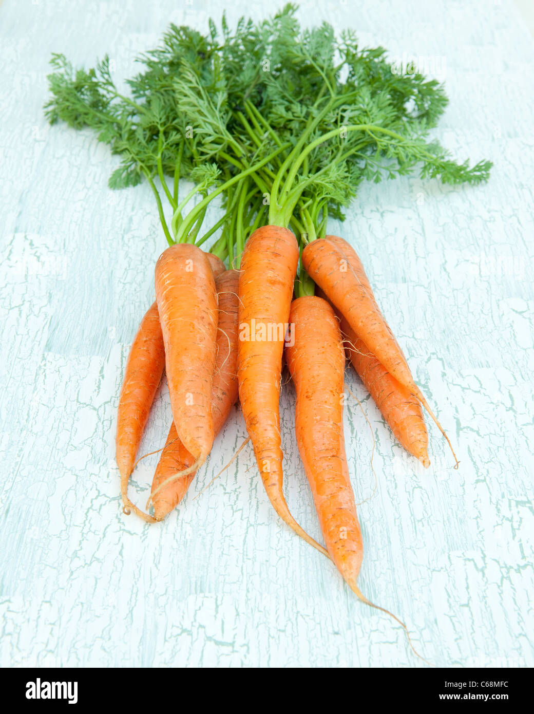 A bunch of carrots Stock Photo