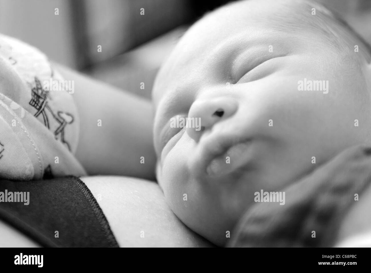 Newborn Stock Photo