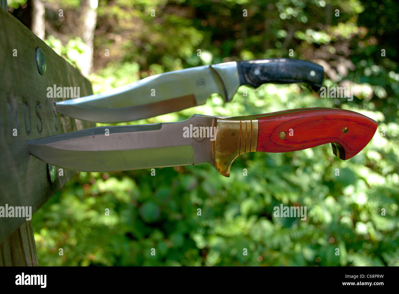 Two knives in the wood. Stock Photo
