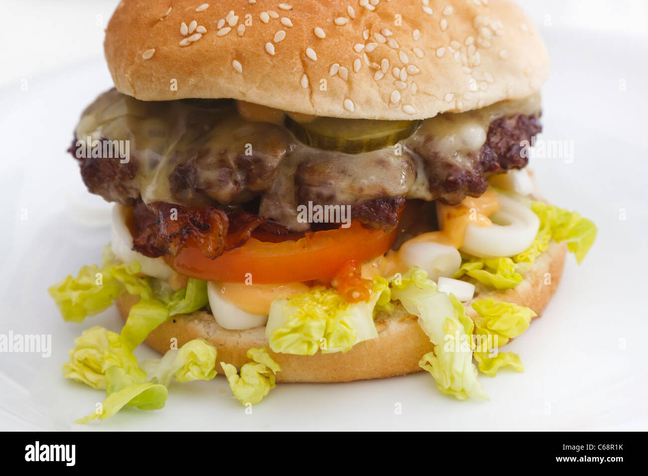 Hamburger with salad and cheese Stock Photo