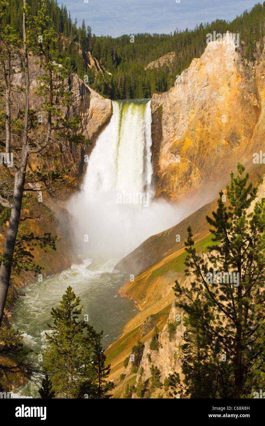 Lower Yellowstone Falls scenic from Red Rock Trail Yellowstone National Park USA Stock Photo