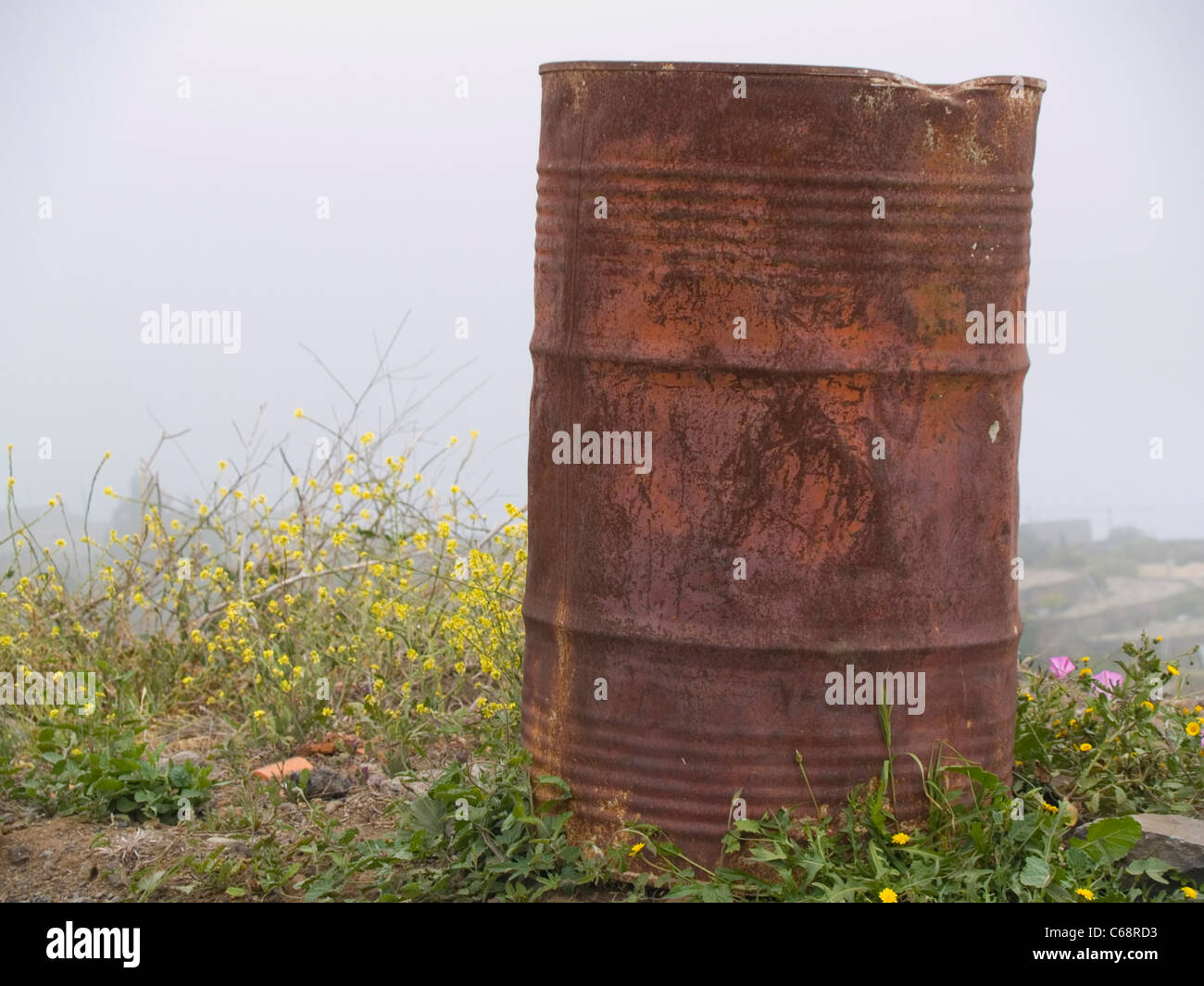 altes verostetes Ölfass in der Natur | old rusty oildrum in nature Stock Photo