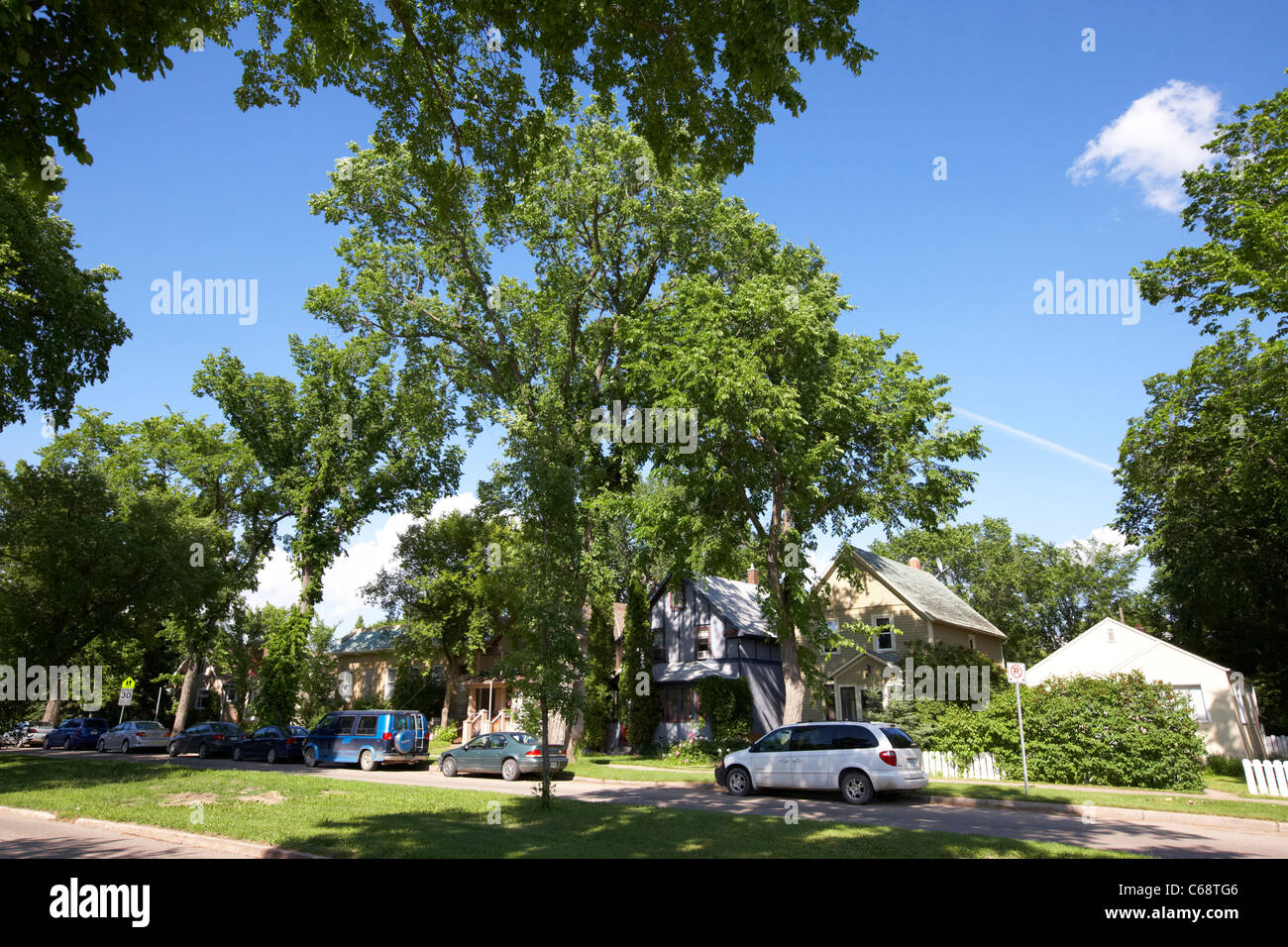 residential neighbourhood on tree lined avenue in city of Saskatoon Saskatchewan Canada Stock Photo