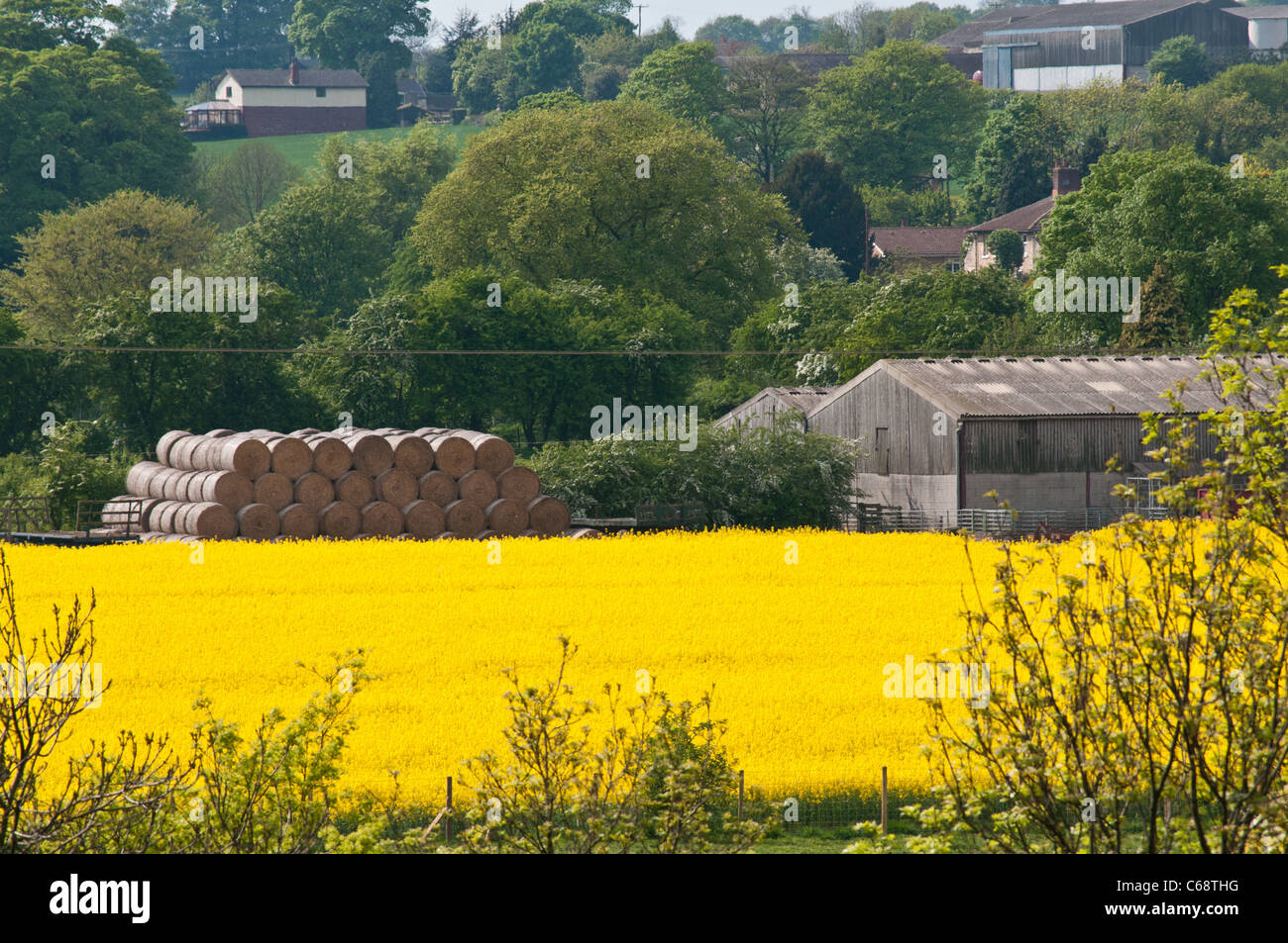 Near doncaster hires stock photography and images Alamy