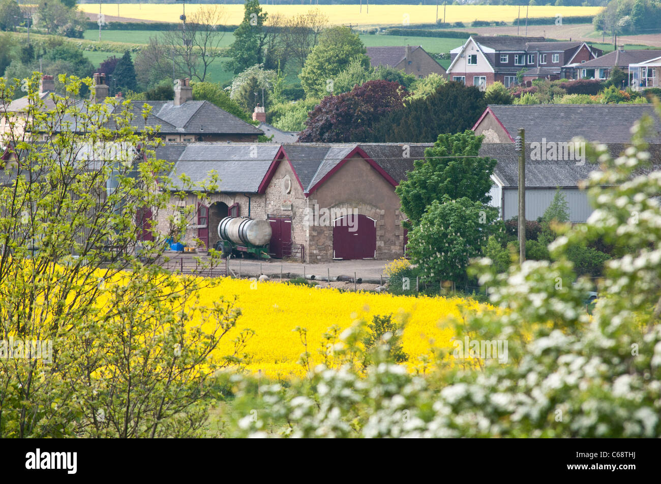 Farm near Doncaster Stock Photo Alamy