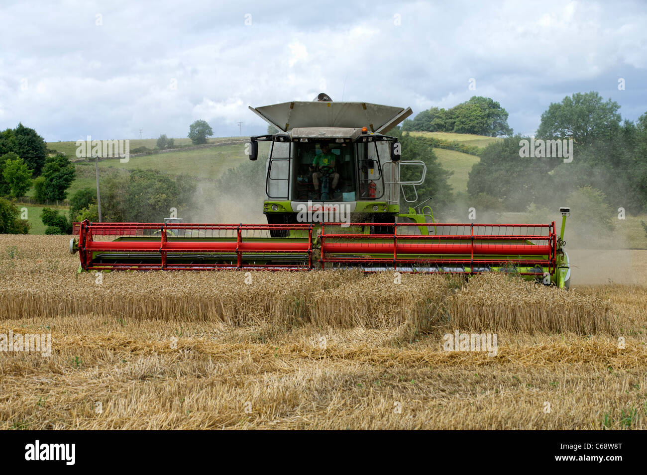 Combine Harvester at work in a wheat field Stock Photo