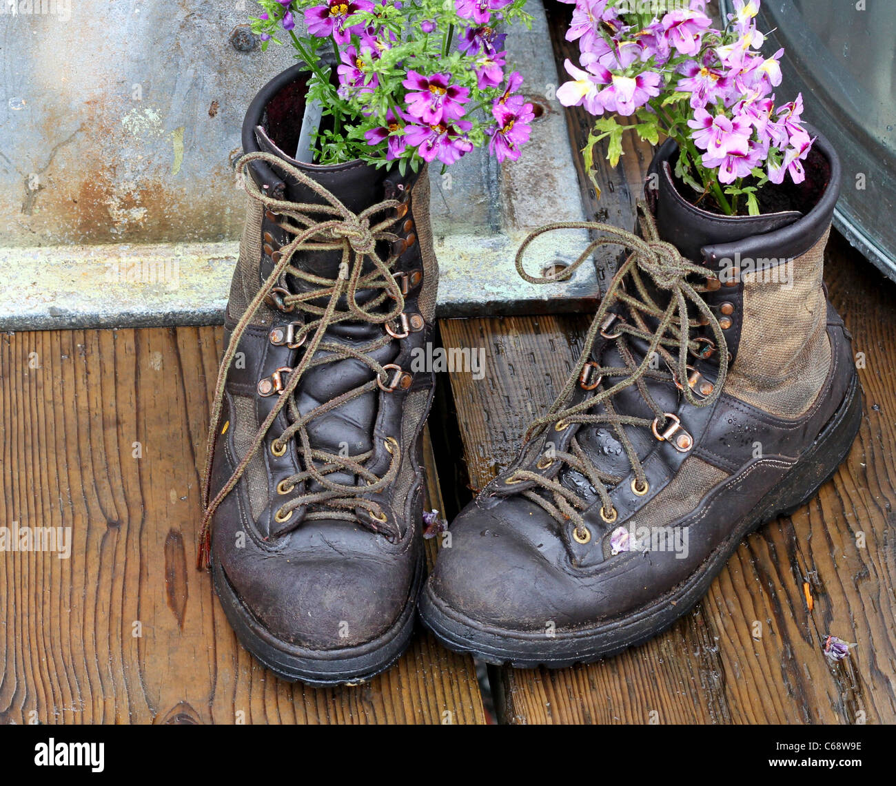 Old worn boots with flowers planted in them on a wooden deck Stock Photo
