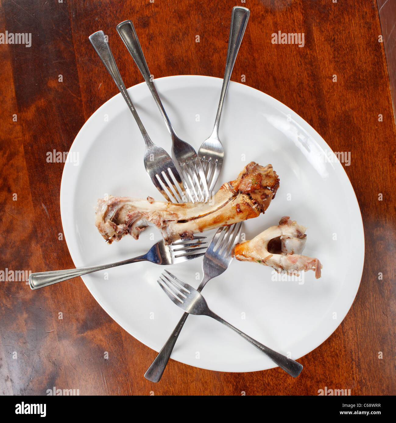 bones and forks on the plate Stock Photo Alamy
