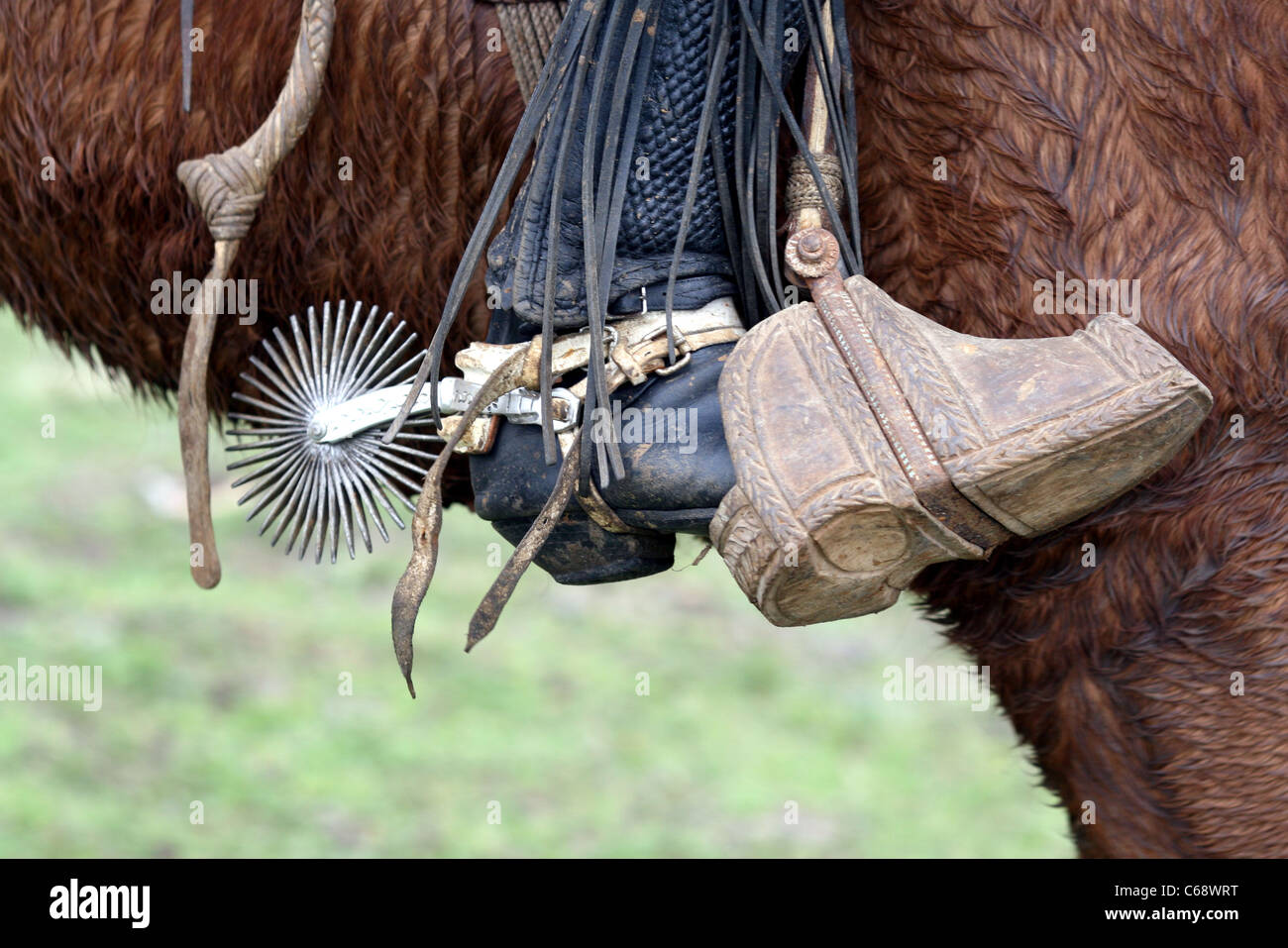 Horse spur hires stock photography and images Alamy