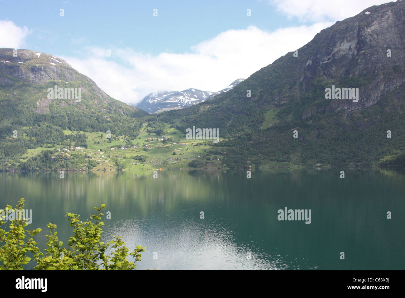 Fjords Spring Wonderful fjord greens of norway in spring Stock Photo - Alamy