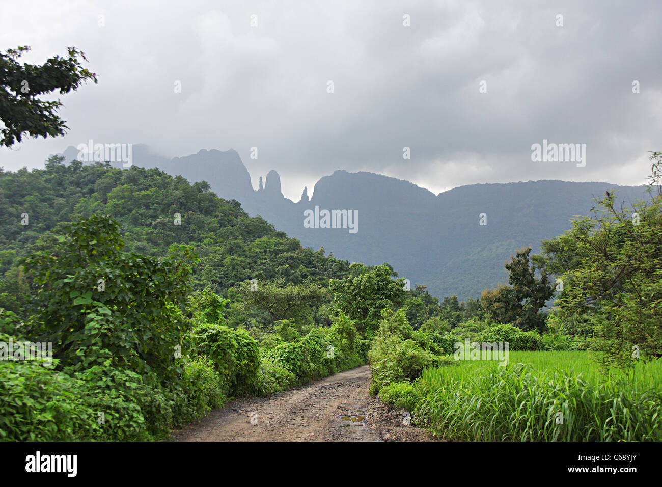 Monsoon Landscape with Mahuli fort in the backdrop. At Mahuli, Dist. Thane, Maharashtra. Stock Photo