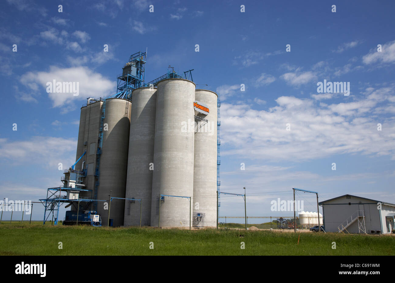 modern concrete grain silos in dundonald Manitoba Canada Stock Photo