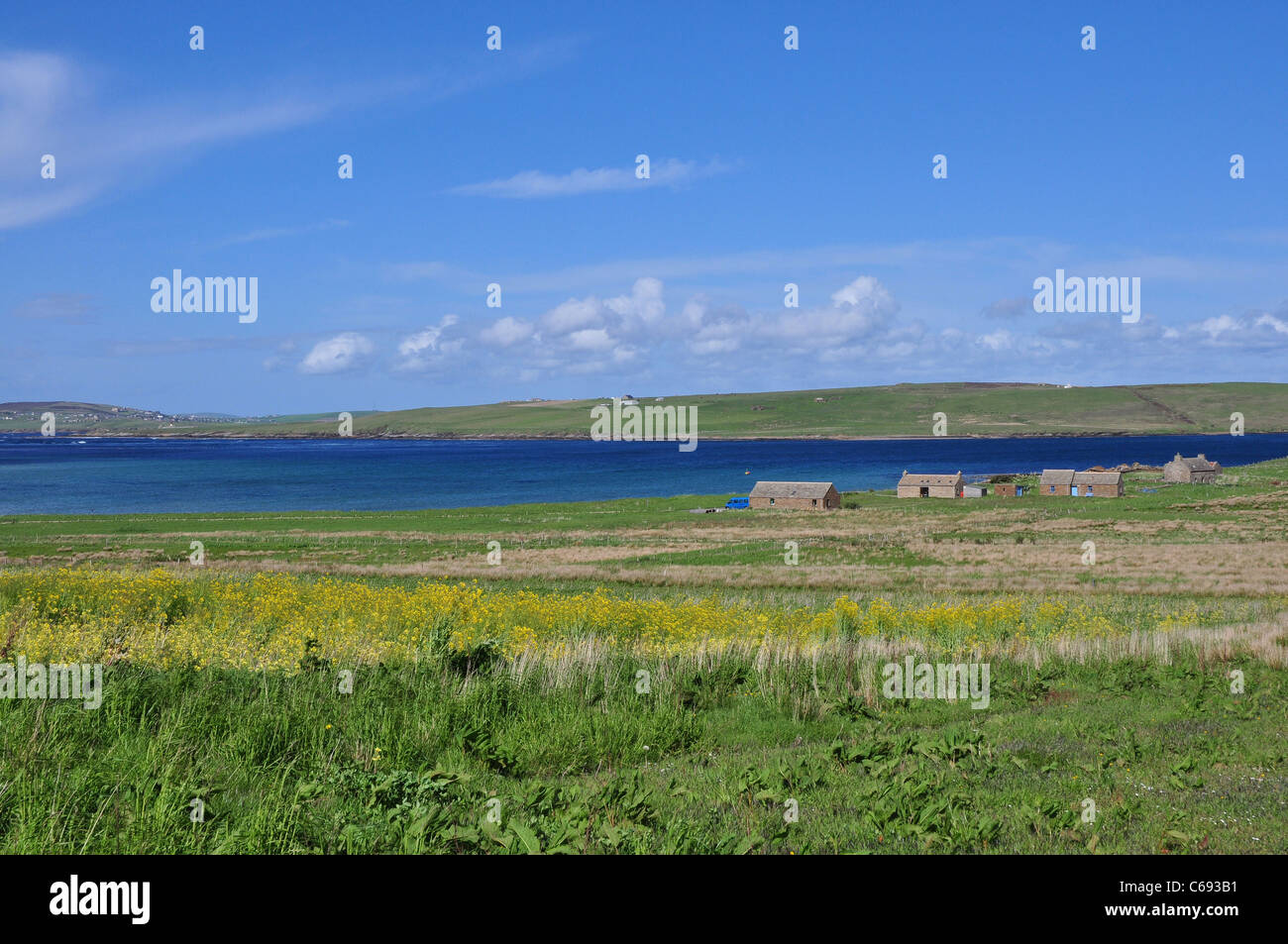 The farm cottages and pasturage at the Island of Hoy, Orkney, Scotland. Stock Photo