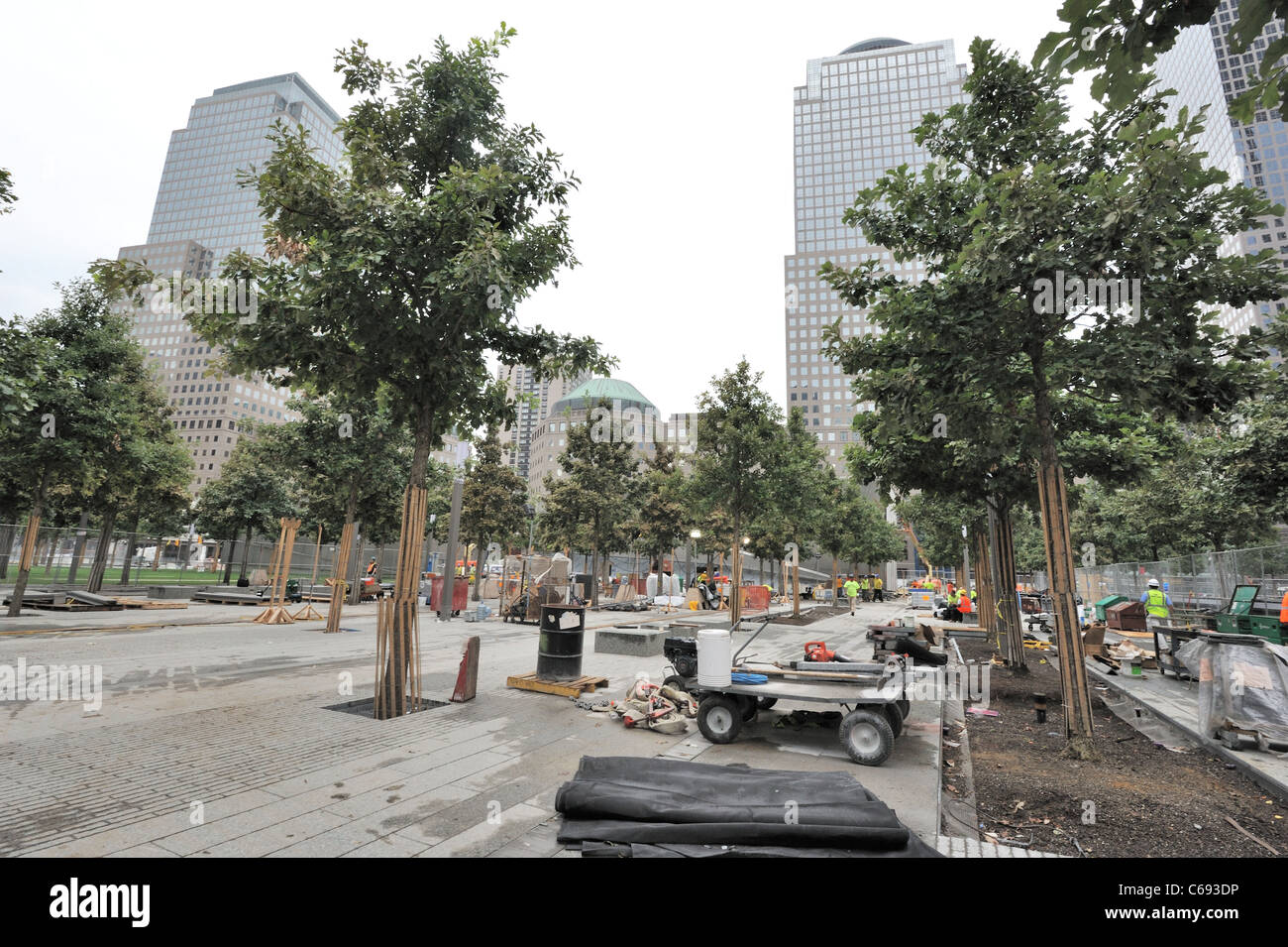 The plaza at the World Trade Center has been planted with 400 swamp white oak trees. It opens to the public on Sept. 12, 2011. Stock Photo