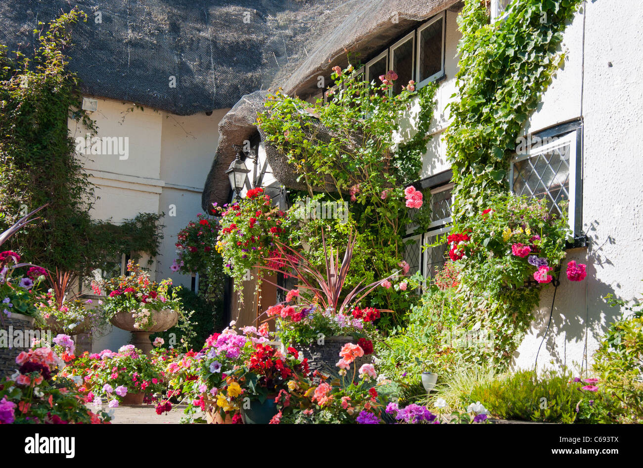 Hanging baskets of flowers on thatched cottage in village of Welford on Avon, Warwickshire, UK. Stock Photo