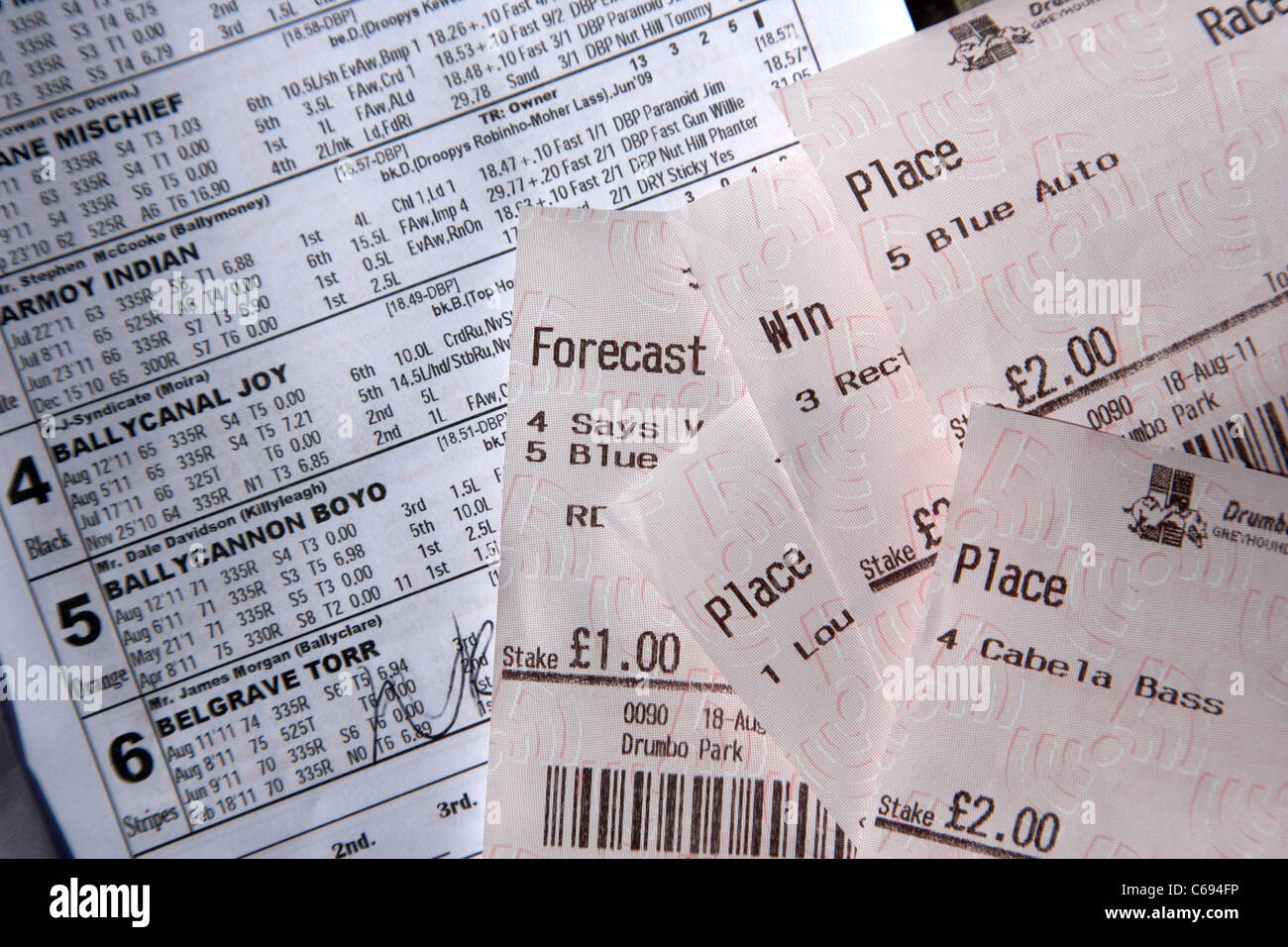 selection of losing tote betting slips with greyhound race card from northern ireland Stock Photo