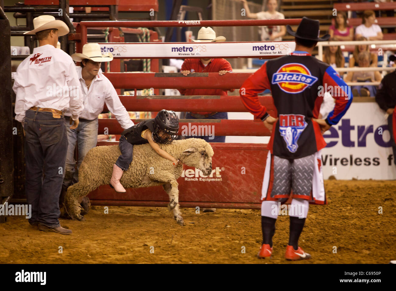 Mutton busting cowgirl riding a sheep at the Mesquite Championship Rodeo, Texas Stock Photo