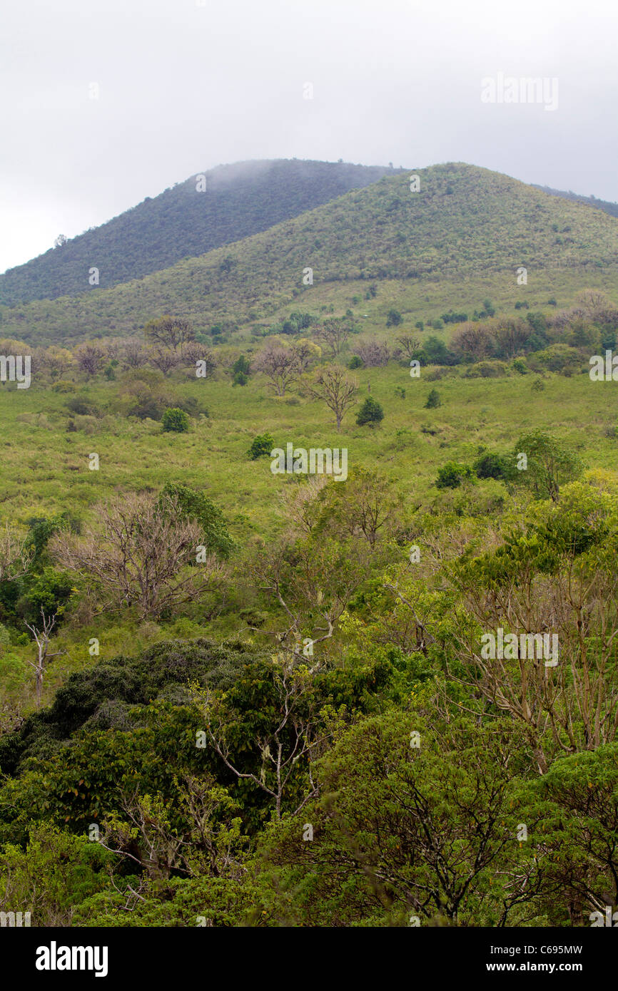 The green Floreana island, Galapagos Islands Stock Photo