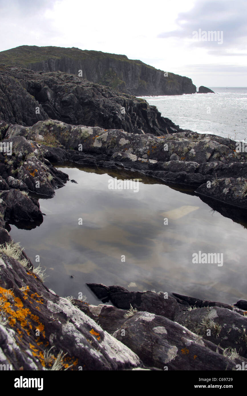 Rock pooling at Baltimore Point in Ireland Stock Photo