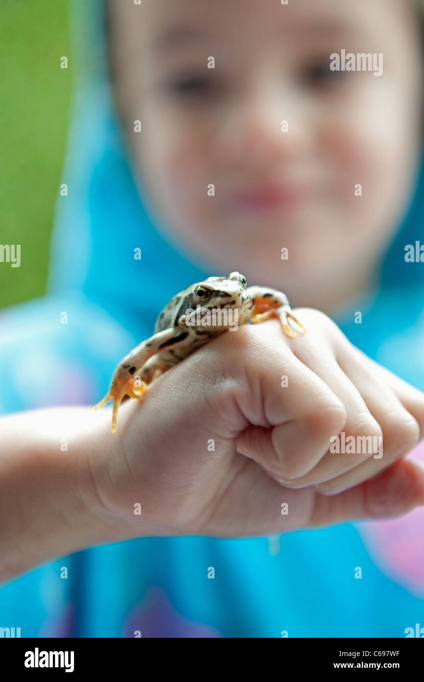 Closeup of a little girl aged 5 holding a small common frog that she