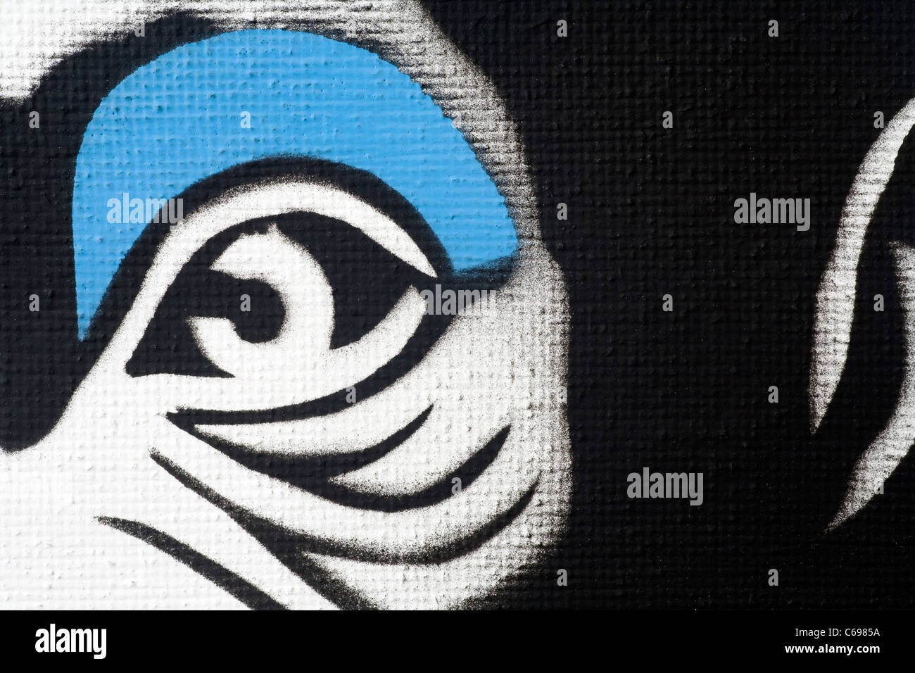 Detail of a monkey's eye taken from some graffiti or street art Stock