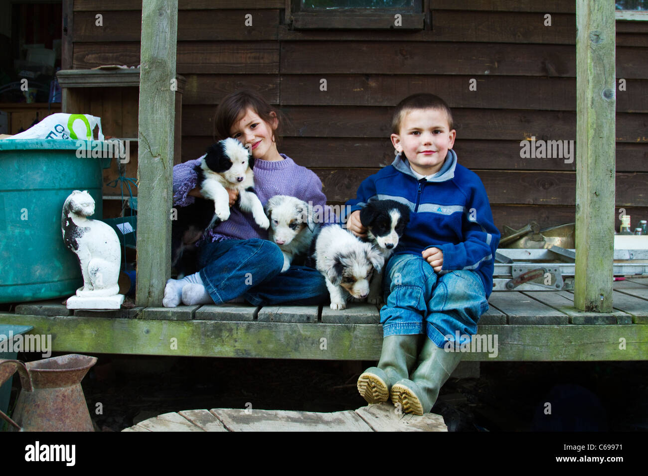 Farm children with sheep dog puppies Stock Photo