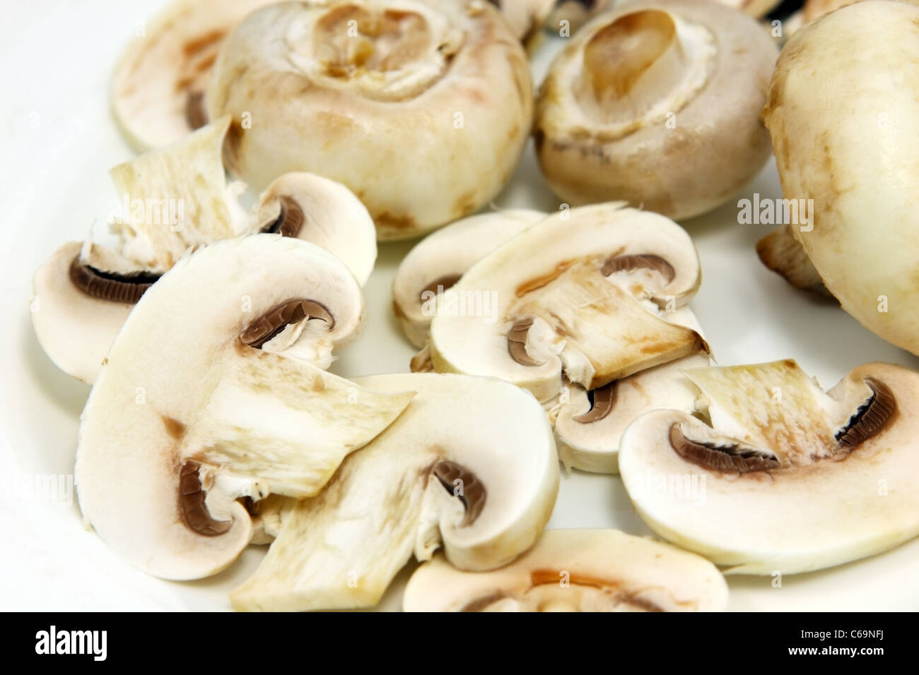 cut field mushroom close up Stock Photo