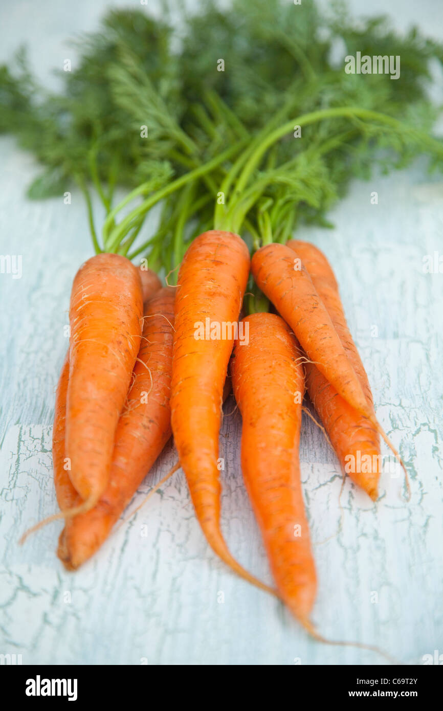 A bunch of carrots Stock Photo
