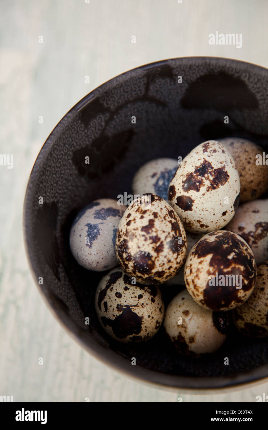 Quails eggs in a bowl Stock Photo