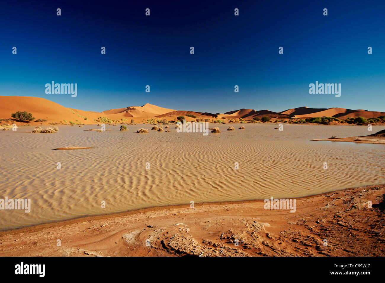 desert Landscape of Namib at Sossusvlei with water inside, Namib ...