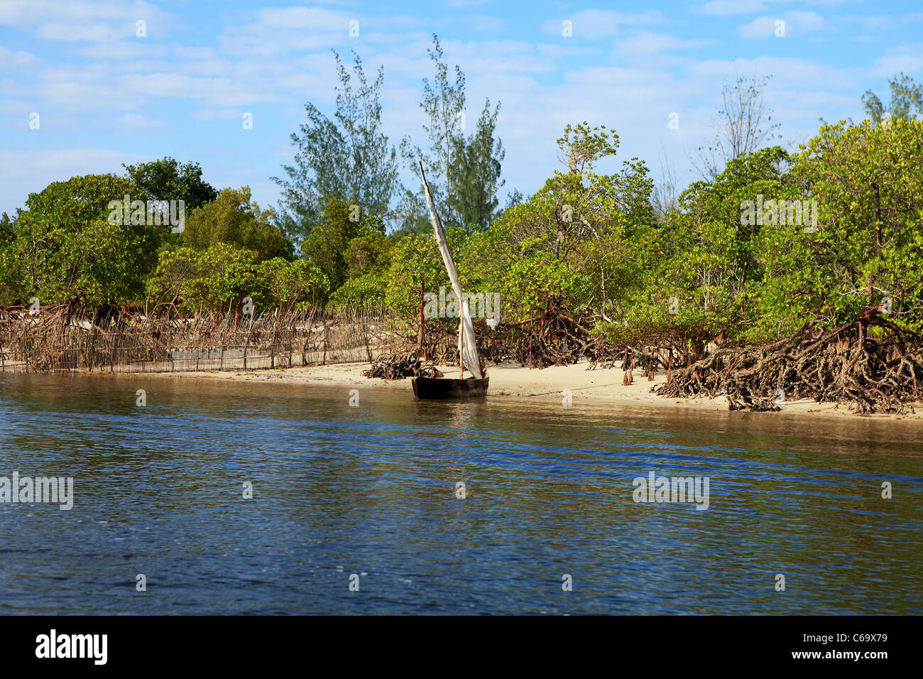 Rowing boat and mangrove trees in Kenya Stock Photo